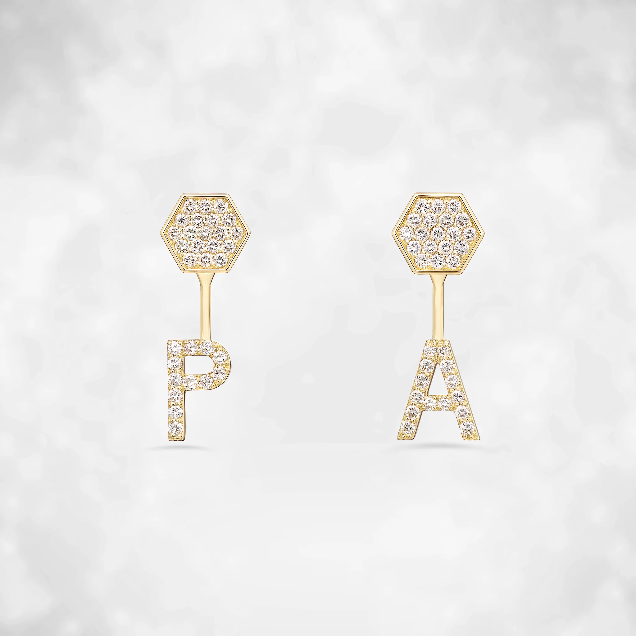 2 in 1 PA Earrings
