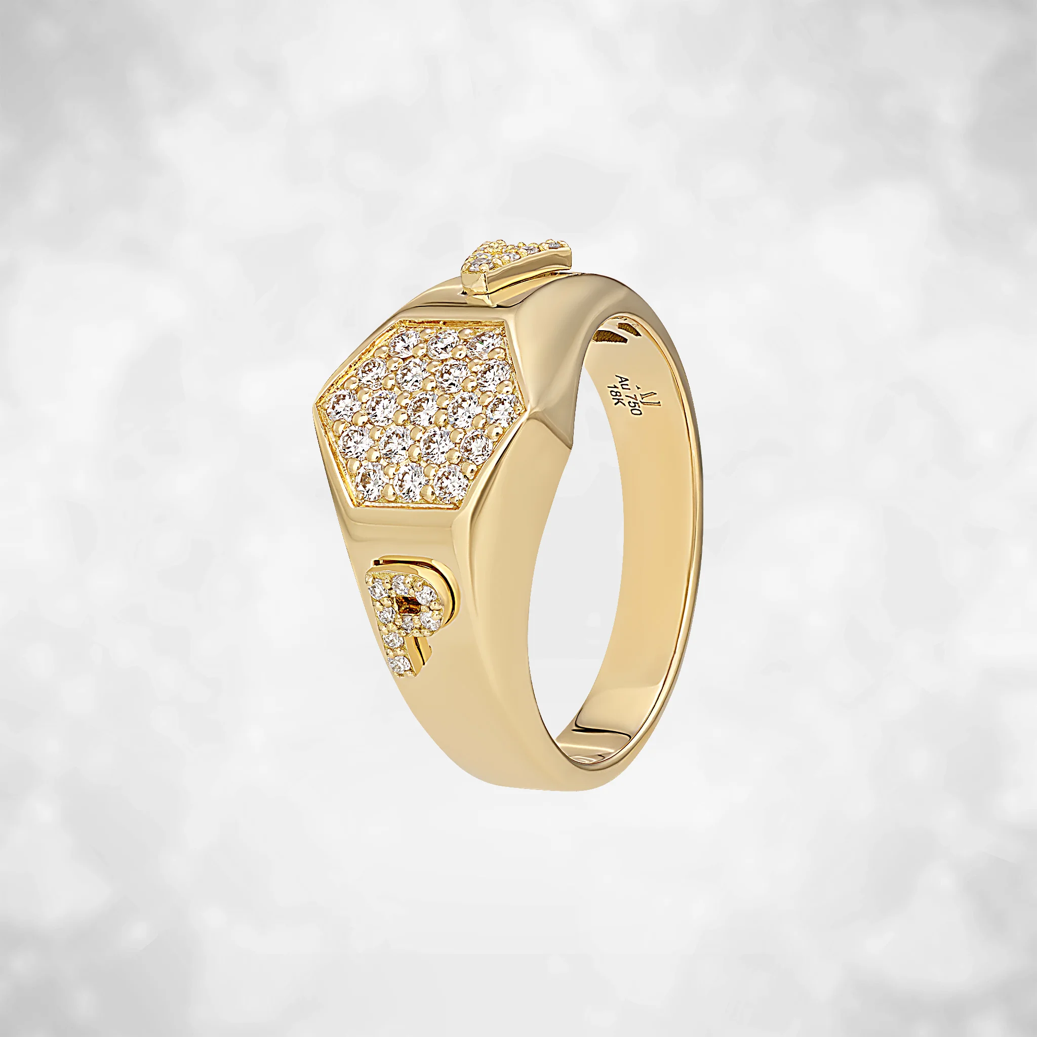 PA Ring